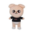 1pcs 20cm Skzoo Plush Toys Stray Kids Cartoon Stuffed Animal Plushies Doll Wolf Chan Leebit Fox.ny Jiniret Puppym Kids Fans Gifts. 