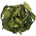 Whole Curry Leaf (Asto Karipata) Whole Karipata -50gm. 
