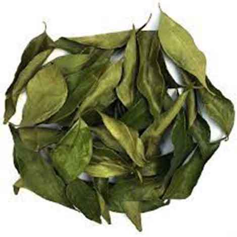 Whole Curry Leaf (Asto Karipata) Whole Karipata -50gm
