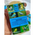 Mineral Block For Birds-5pcs. 