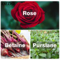 OEDO Rose Emulsion Contain Serum Anti Aging Skin Care Moisturizing Face Essence. 