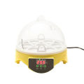 7 Eggs Incubator Chicken Bird Egg Incubator Automatic Intelligent Quail Parrot Brooder Hatcher Chicken Duck Pigeon 7 Egg Incubators.