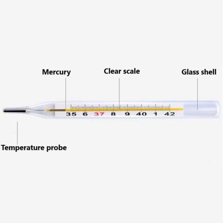 1PC%20Mercurial%20Glass%20Thermometer%20Large%20Screen%20Clinical%20Measurement%20Device%20Human%20Tature%20Thermometer%20-%20Image%204