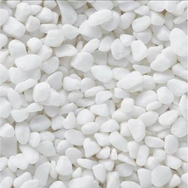Aquarium White Stone For Decoration 3KG | Daraz.com.bd