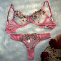 Pink Lingerie Woman Lace Transparent Underwear Fairy Embroidery Brief Sets Delicate Bra Panties Kits Breves Sets. 