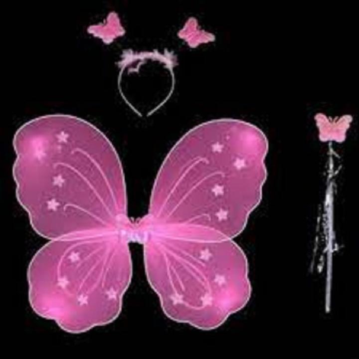 Fairy wing/porir pakha/ pori dana