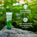 Himalaya Purifying Neem Face Wash 100 ml. 