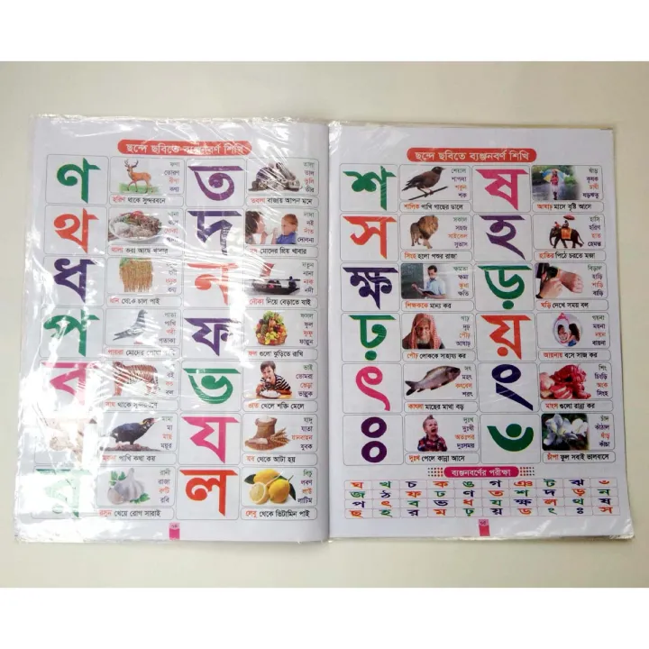 Doremon's%20Adorsholipi%20Book,%20All%20in%20One,%20Kids%20Learning%20for%20Children%20like%20Baby%20Toys%20-%20Image%204