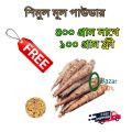 Shimul Powder - 400 gm  with 100 gram free (Shimul Mul Powder). 