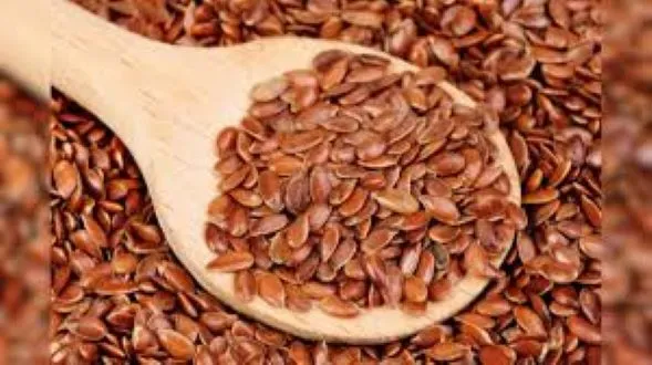 Brown%20Flax%20Seeds%20(Tishi%20Seed)-500Gmn(Clean)%20-%20Image%204