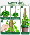 Coco Poles (24inch) for Climbing Plants | Coconut Palm Fiber Monstera Plant Support, Money Plants and etc. | Handmade Coco pole for Plant Support Sticks for Potted Plants..