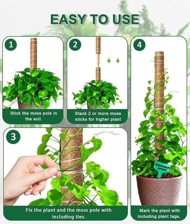 Coco%20Poles%20(24inch)%20for%20Climbing%20Plants%20%7C%20Coconut%20Palm%20Fiber%20Monstera%20Plant%20Support,%20Money%20Plants%20and%20etc.%20%20%7C%20Handmade%20Coco%20pole%20for%20Plant%20Support%20Sticks%20for%20Potted%20Plants.%20-%20Image%202