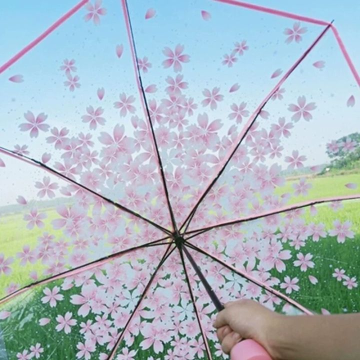 Transparent%20Folding%20Umbrella,%20Cute,%20Mini,%20Fresh,%20Simple,%20Sen%20Series,%20Trifold,%20Cherry%20Blossom%20Transparent%20Umbrella%20-%20Image%206