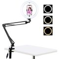 PULUZ 10.2 inch 26cm Ring Curved Light + Desktop Arm Stand USB 3 Modes Dimmable Dual Color Temperature LED Vlogging Selfie Photography Video Lights with Phone Clamp(Black). 
