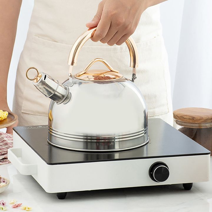 3L%20Whistling%20Kettle%20For%20Gas%20Stove%20All%20Stove%20Tops%20Stainless%20Steel%20Coffee%20Tea%20Rising%20Kettle%20With%20With%20en%20Handle%20Teat-3L%20-%20Image%204