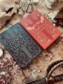 Dance of Thieves Book Series | By Mary E. Pearson | 2 Books | Premium Paper | Matte Cover. 