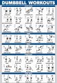 Dumbbell Workout Eercise Poster Laminated Free Weight Body Building Guide Home Gym Chart Double Sid 0415pm. 