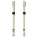 Music Instrument 6 Holes Soprano Flute Recorder White Blue.