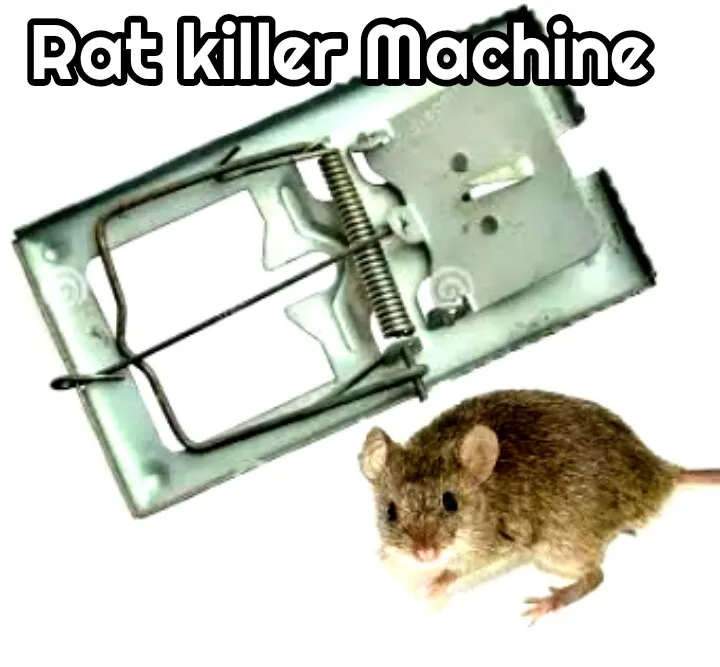 Rat%20Killer%20Machine/Trap-%E0%A6%87%E0%A6%81%E0%A6%A6%E0%A7%81%E0%A6%B0%20%E0%A6%A7%E0%A6%B0%E0%A6%BE%E0%A6%B0%20%E0%A6%AB%E0%A6%BE%E0%A6%81%E0%A6%A6%20-%20Image%202
