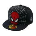 Disney Anime Cartoon Spiderman Kids Hats Toddler Baby Baseball Cap Autumn Spring Children's Snapback Hip Hop Caps For Boys Girls. 