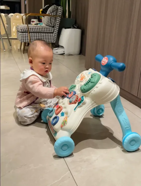 Premium%20Baby%20Toddler%20Walker%20with%20Early%20Learning%20Activity%20Center%20%E2%80%93%2048cm%20Height%20-%20Image%204