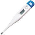 LCD Digital Thermometer.