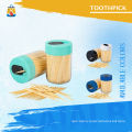 1Box- Dental Floss Toothpick For Teeth.