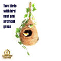 Decorative Hanging Bird Nest with Birds & Plant – Babui Pakhir Basha (14'' & 12''). 