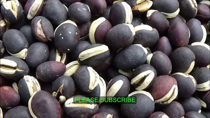 Dry%20Black%20Beans%20(kalo%20Shim%20Bich)%20-%201Kg%20-%20Image%205