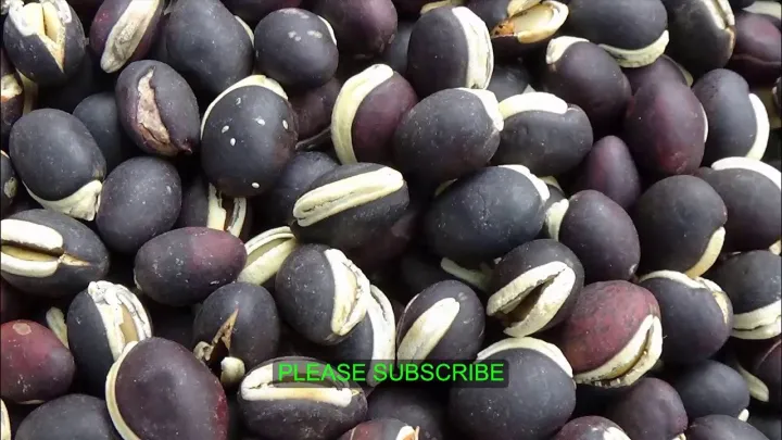 Dry%20Black%20Beans%20(kalo%20Shim%20Bich)%20-%201Kg%20-%20Image%205