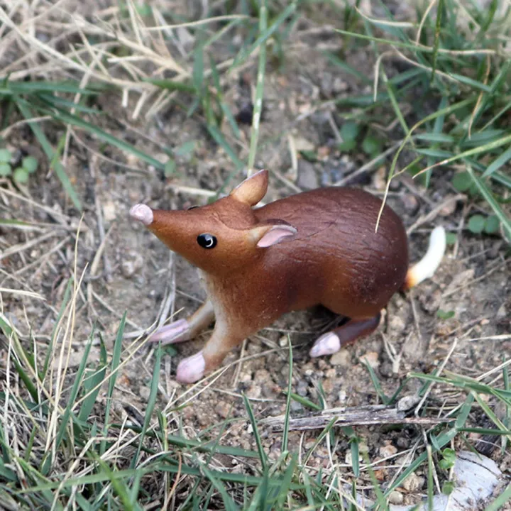 %EF%BC%88New%EF%BC%89Realitic%20Moue%20Rat%20Opoum%20Animal%20Model%20Figure%20Dek%20Decor%20Education%20Kid%20Toy%20-%20Image%207