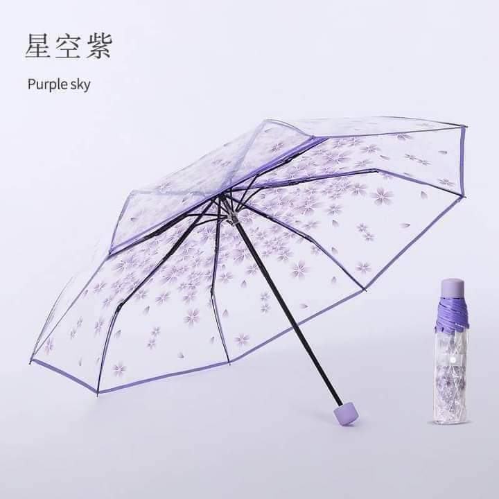 TRANSPARENT%20UMBRELLA%20-%20Image%202