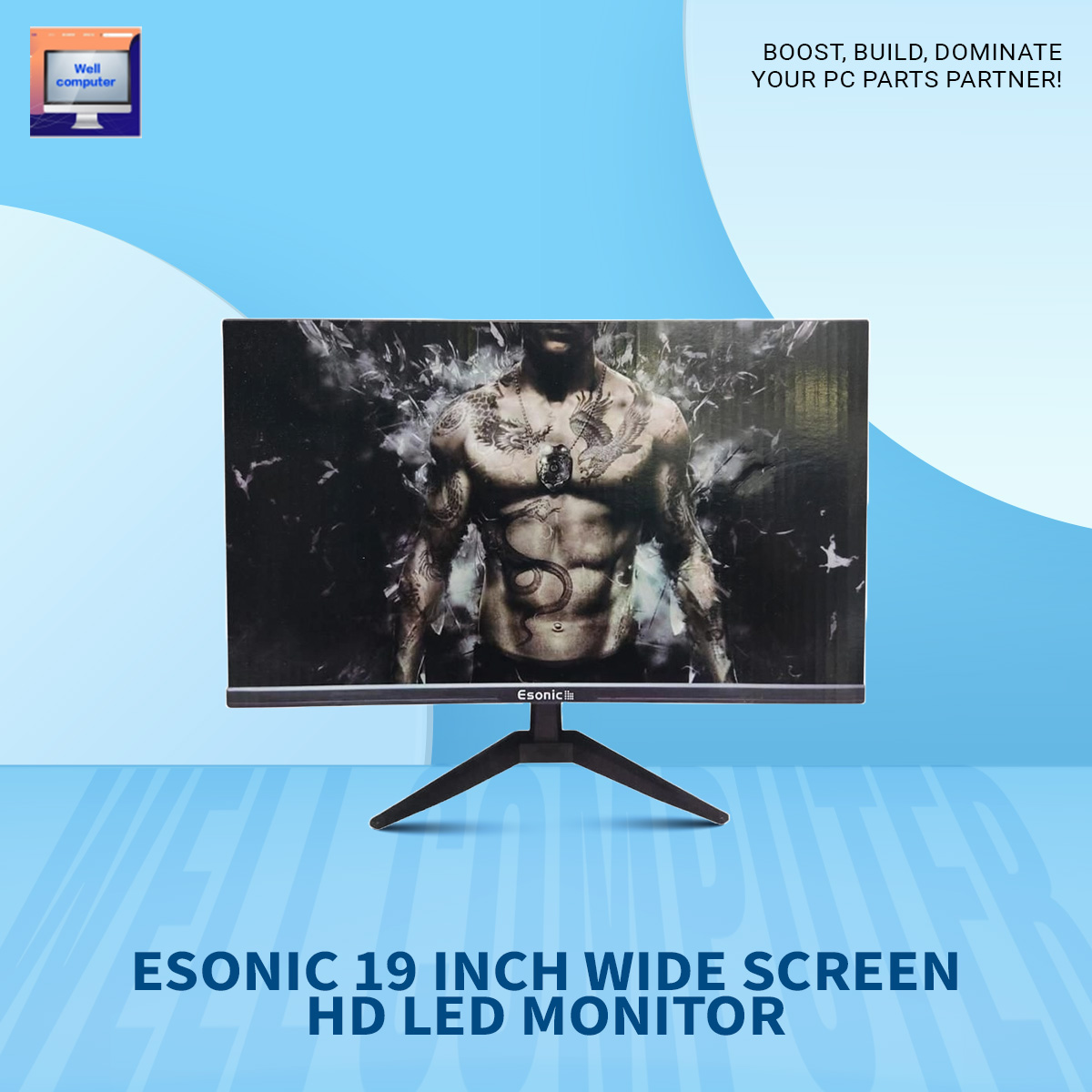 Esonic 19 Inch Wide Screen HD LED HDMI&VGA Monitor