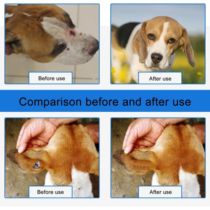 Pet%20Wound%20Care%20Spray%20To%20Relieve%20Itching%20of%20Cats%20and%20Dogs%20Skin%20Wound%20Care%2030ml%20-%20Image%203