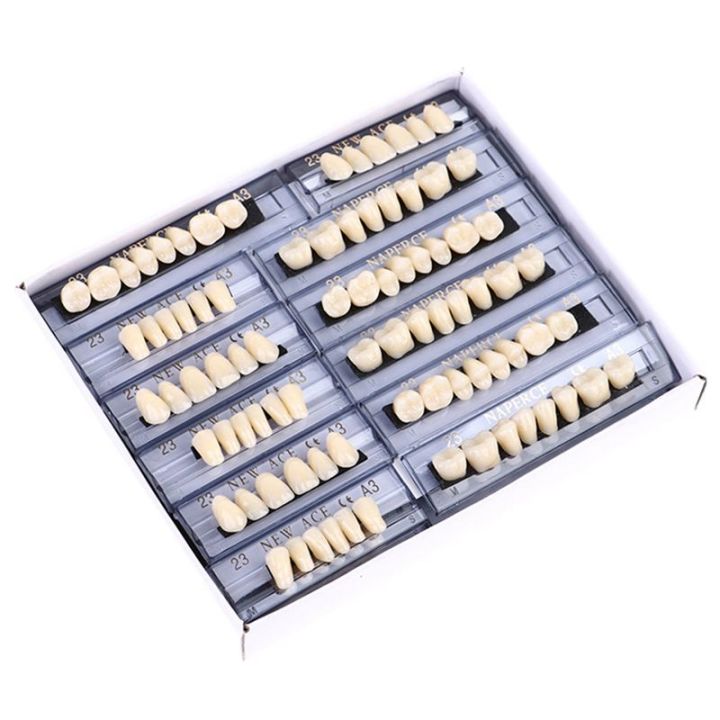 168pcs Dental Materials Denture False Teeth Model Resin Dentures ...