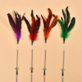 Pet Cat teasing spring stick toys with feather tease cat and kitty.