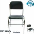 Executive Office/Home Visitor Chair - SS Pipe (1Pcs). 