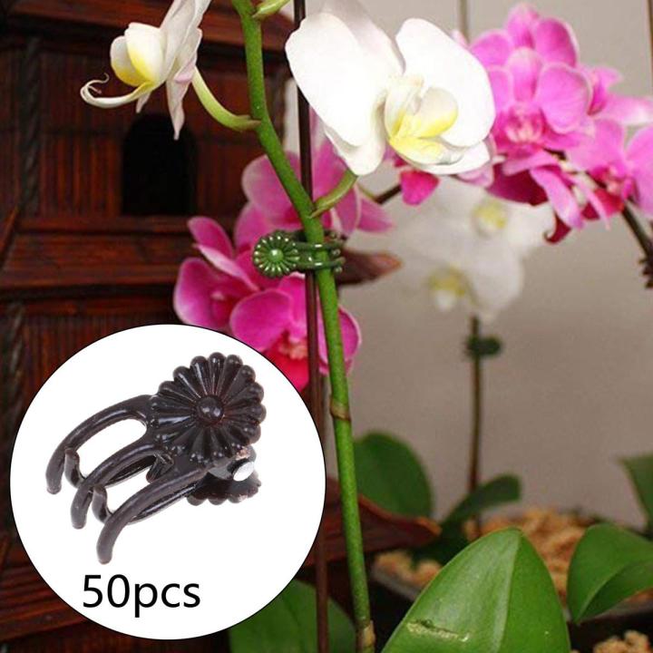 50Pcs Orchid Clips Garden Clips, for Backyard Garden Stem Vines Flower Orchid Stem