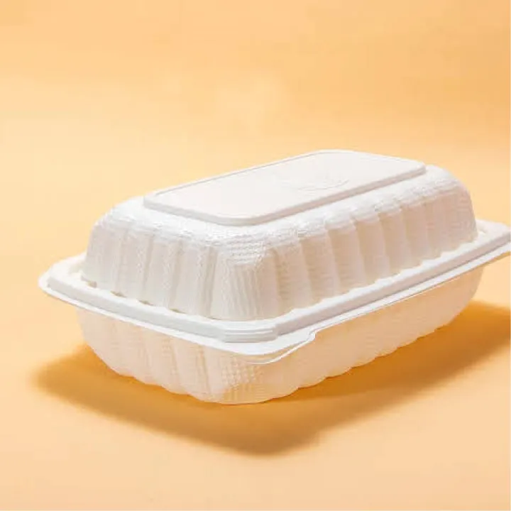 Disposable%20Lunch%20Box%20Plastic%20Food%20Take%20Out%20Container%208%20x%206%20inch-%2012%20%7C%2025%20%7C%2050%20Pieces%20-%20Image%204