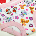 10 Pcs Pack Assorted Boys Girls Padded Cloth Nappy Waterproof Reusable Potty Training Cotton Underpants For Baby From Levin.