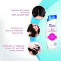 Head & Shoulders 2-in-1 Smooth and Silky Anti Dandruff Shampoo + Conditioner for Women & Men, 340ML. 