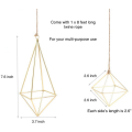 Air Plant Holder 20 Packs Metal Decor Modern Geometric Hanger Hanging Air Plants Planter Tabletop Display Rack. 