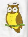 Time To Colour And Talk about Birds (Book 4). 