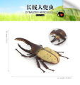 Cross-border static simulation insect model: spider, bull, praying mantis, butterfly, mosquito, insect, children's cognitive animal toys. 