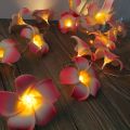 plumeria flower led string light /Kath Golap fairy light  bedroom decorative party. 