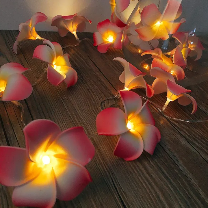 plumeria%20flower%20led%20string%20light%20/Kath%20Golap%20fairy%20light%20%20bedroom%20decorative%20party%20-%20Image%204