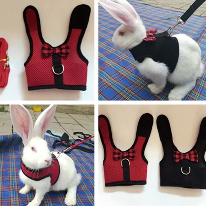 Cute%20Rabbit%20Harness%20Leash%20Set%20Bunny%20Vest%20Harnesses%20Guinea%20Pig%20Leashes%20For%20Outdoor%20Walking%20Lead%20Rope%20For%20Small%20Pets%20Supplies%20-%20Image%202