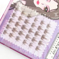 Eyelash Wish Caramel Guppy False Eyelashes Lazy Trilogy Eyelashes Wholesale Mixed Pack Segmented Fairy Hair. 