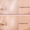 Korean Loose Powder Full Brightening Concealer Mineral Face Foundation Cosmetics Lasting Makeup Powder Compact Powder Pressed Abandon Abandon. 