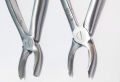 Maxillary Dental Extraction Molar Forceps Left & Right.